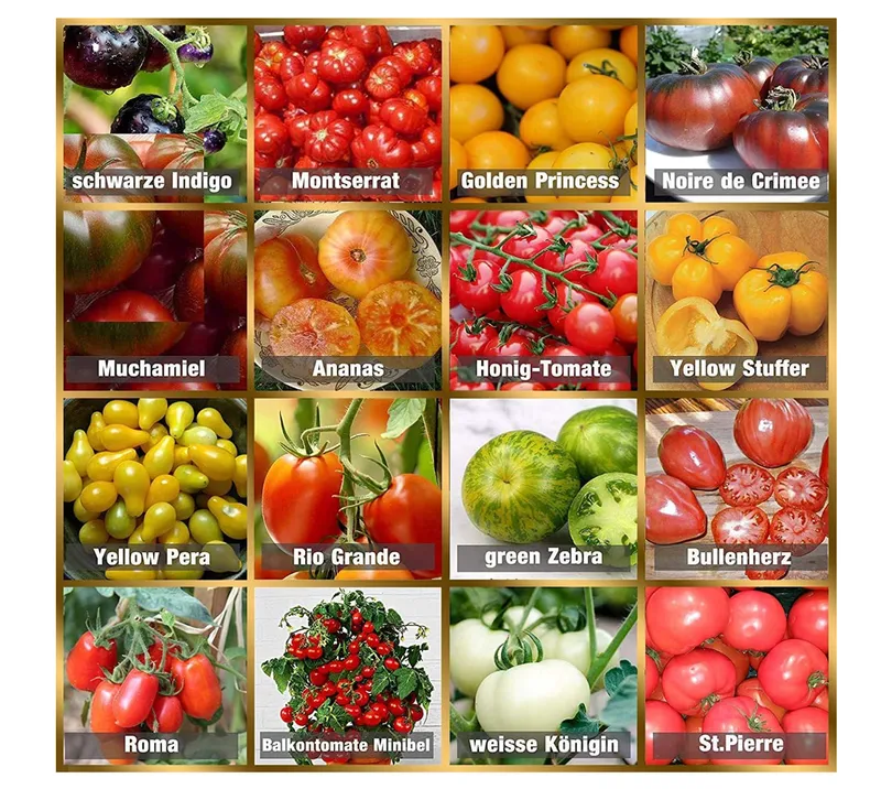 Prademir Set de Graines de Tomates - 16 Variétés